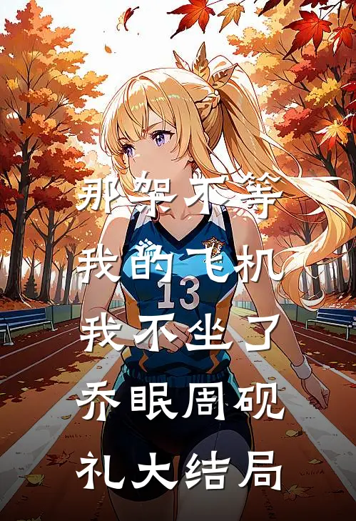 那架不等我的飞机，我不坐了乔眠周砚礼大结局