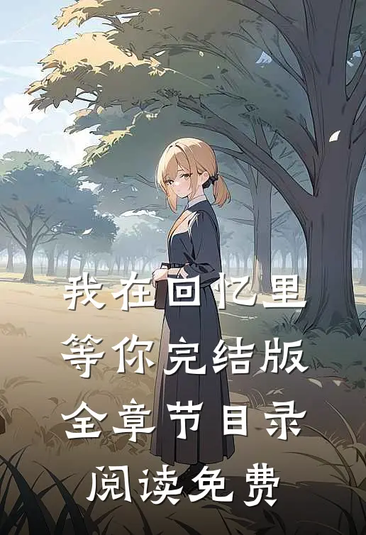 我在回忆里等你完结版全章节目录阅读免费