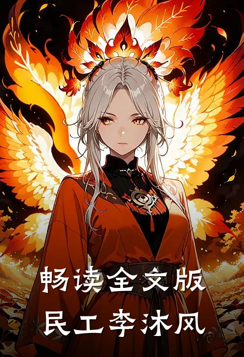 畅读全文版民工李沐风