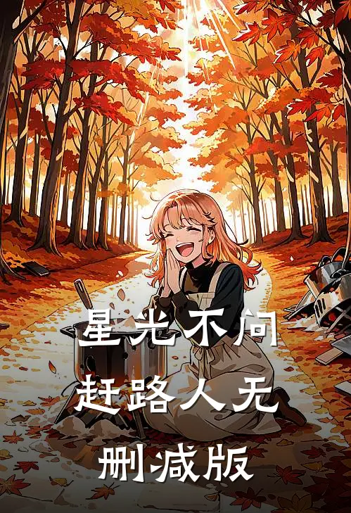 星光不问赶路人无删减版