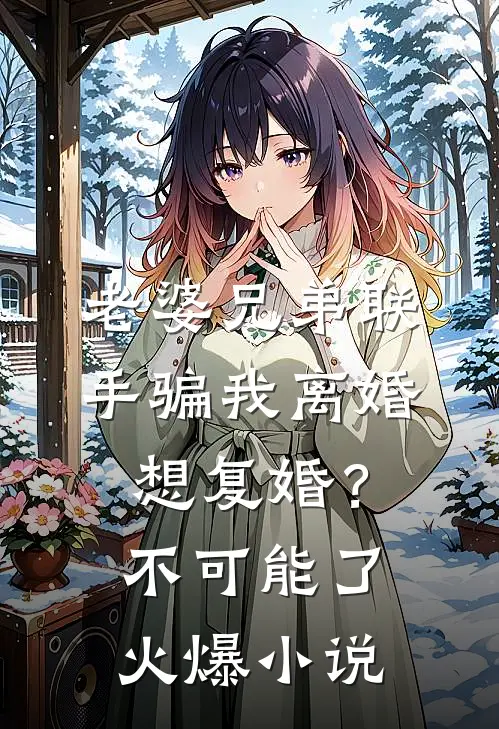 老婆兄弟联手骗我离婚，想复婚？不可能了火爆小说