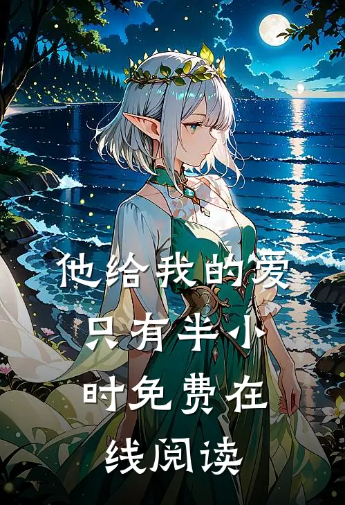 他给我的爱，只有半小时免费在线阅读