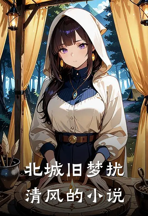 北城旧梦扰清风的小说