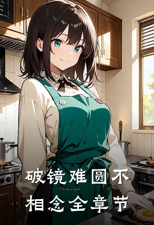 破镜难圆不相念全章节