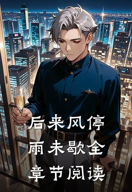 后来风停雨未歇全章节阅读