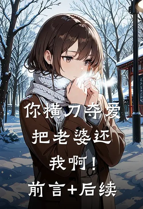 你横刀夺爱，把老婆还我啊！前言+后续