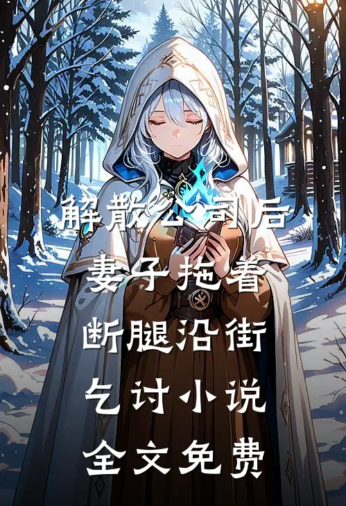 解散公司后，妻子拖着断腿沿街乞讨小说全文免费