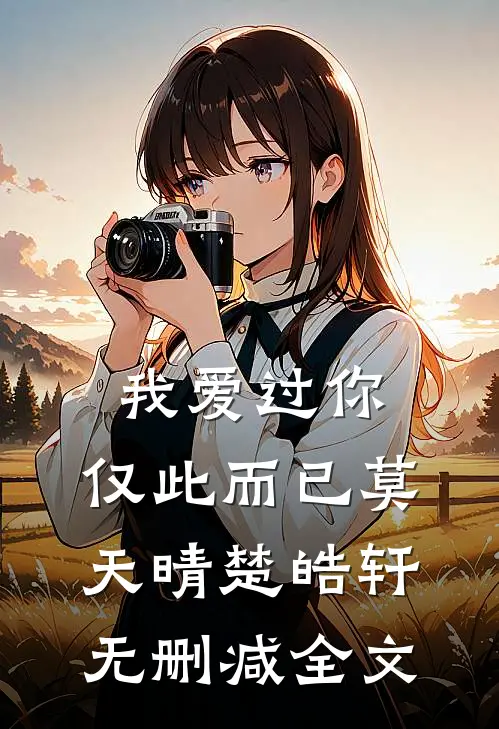 我爱过你，仅此而已莫天晴楚皓轩无删减全文