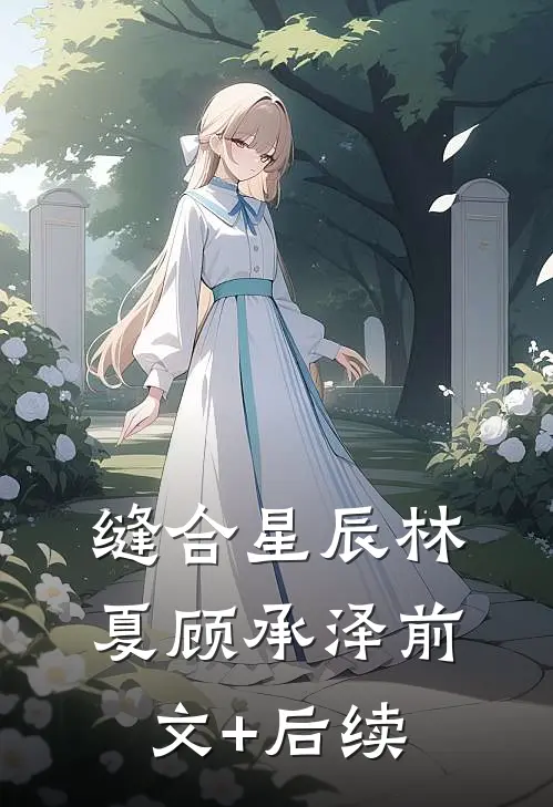 缝合星辰林夏顾承泽前文+后续