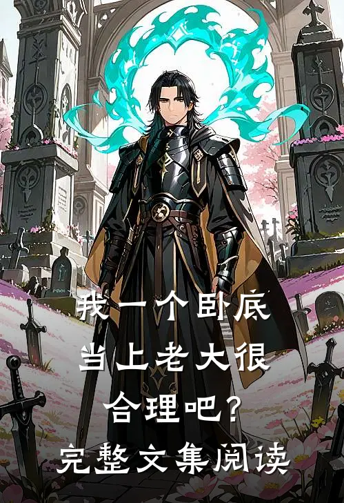 我一个卧底，当上老大很合理吧？完整文集阅读