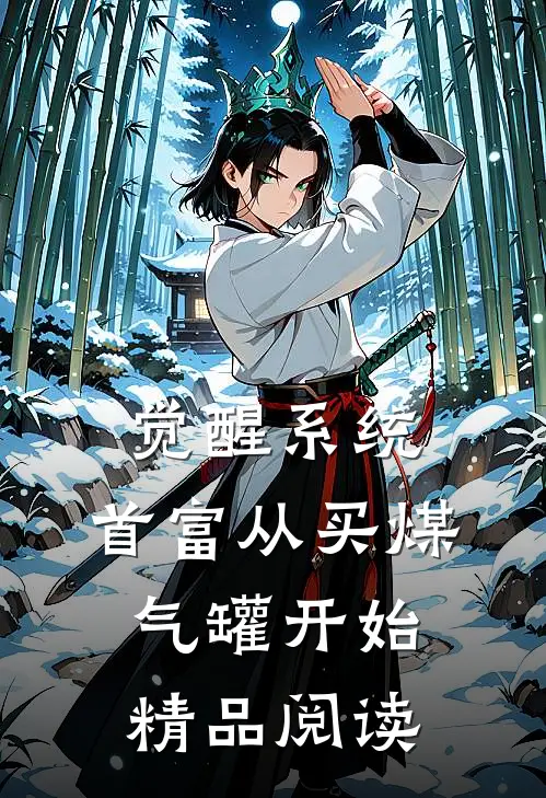 觉醒系统：首富从买煤气罐开始精品阅读