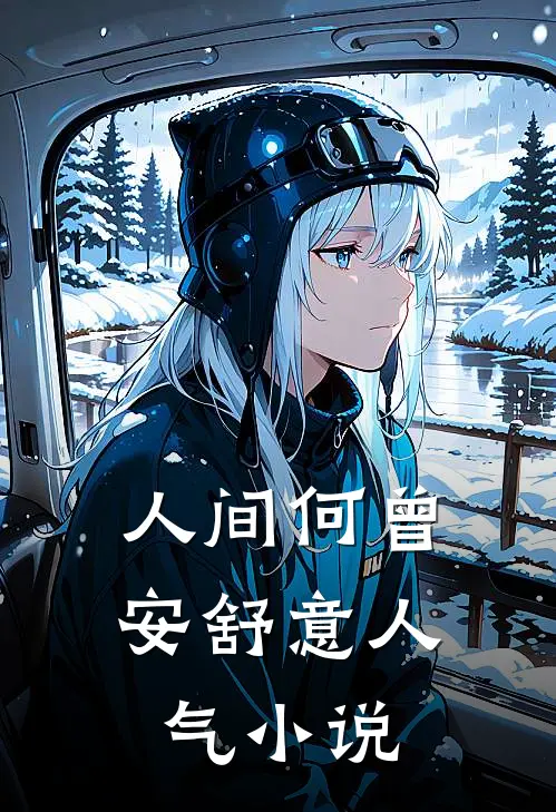 人间何曾安舒意人气小说