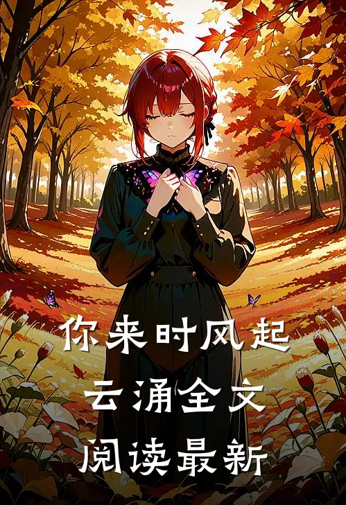 你来时风起云涌全文阅读最新