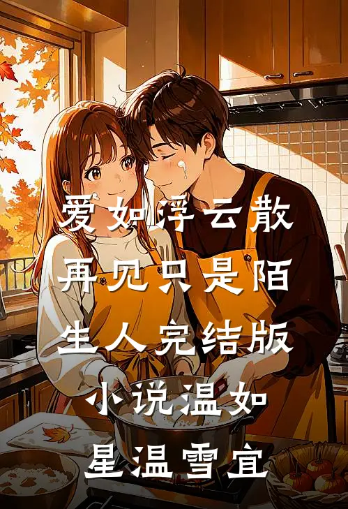 爱如浮云散，再见只是陌生人完结版小说温如星温雪宜