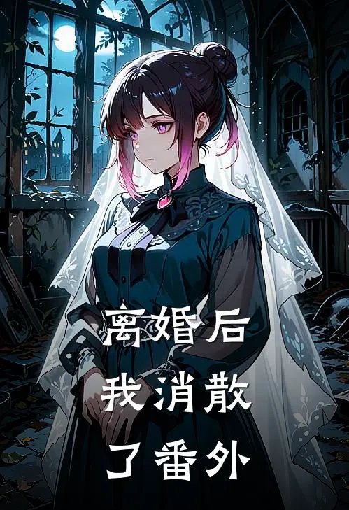 离婚后，我消散了 番外