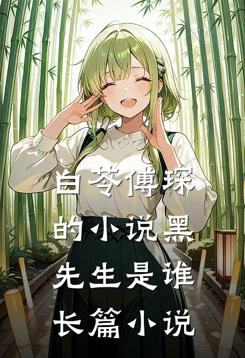 白苓傅琛的小说黑先生是谁长篇小说