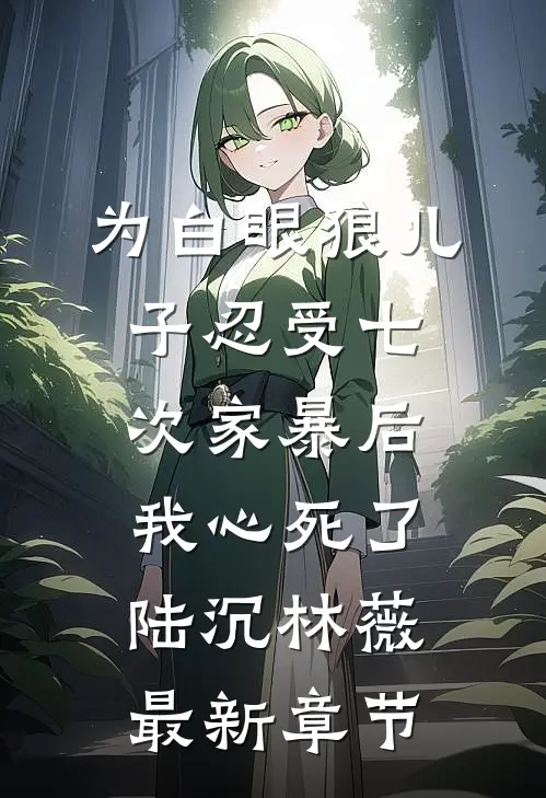 为白眼狼儿子忍受七次家暴后，我心死了陆沉林薇最新章节