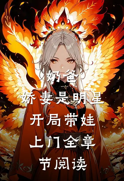 奶爸：娇妻是明星，开局带娃上门全章节阅读