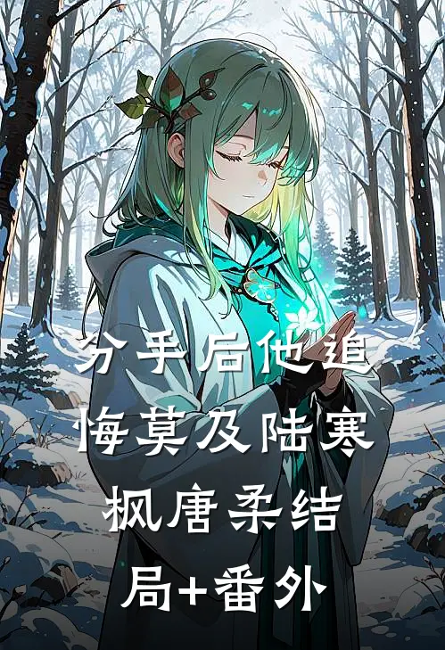 分手后他追悔莫及陆寒枫唐柔结局+番外