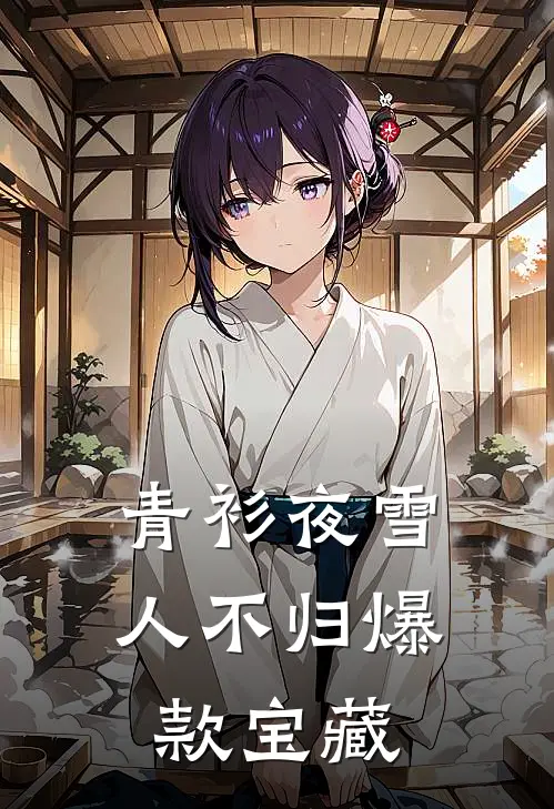 青衫夜雪人不归爆款宝藏