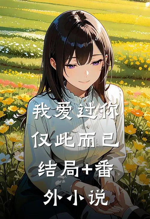 我爱过你，仅此而已结局+番外小说