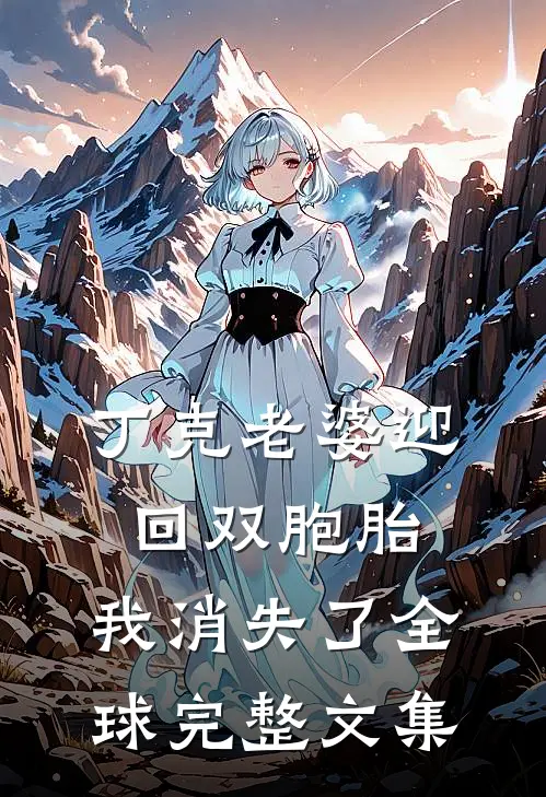 丁克老婆迎回双胞胎，我消失了全球完整文集