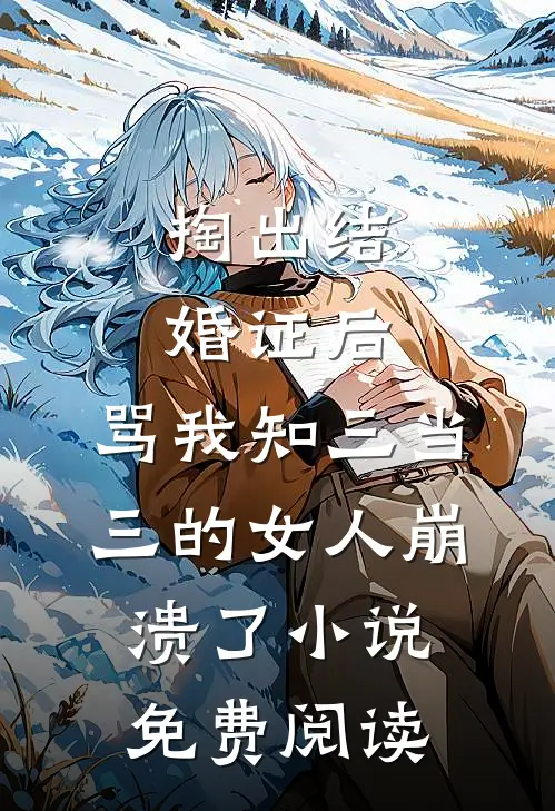 掏出结婚证后，骂我知三当三的女人崩溃了小说免费阅读