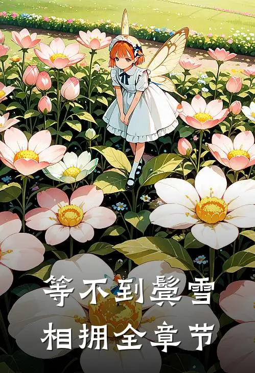等不到鬓雪相拥全章节