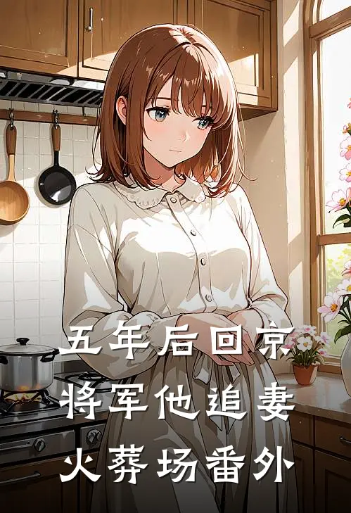五年后回京，将军他追妻火葬场番外