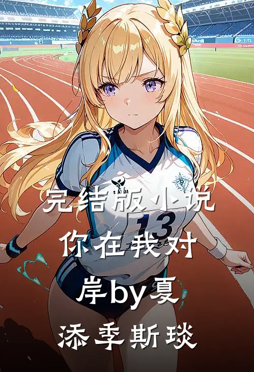 完结版小说你在我对岸by夏添季斯琰