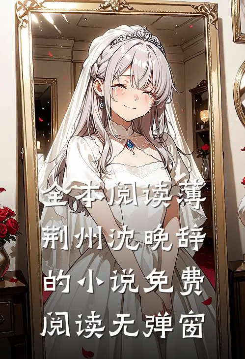 全本阅读薄荆州沈晚辞的小说免费阅读无弹窗
