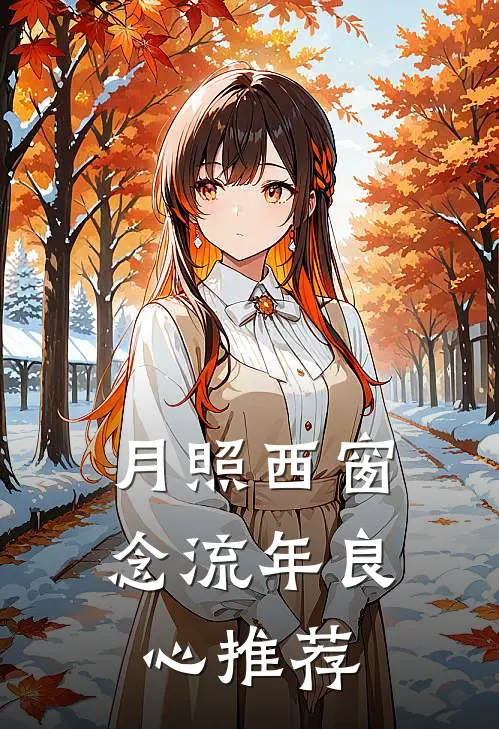 月照西窗念流年良心推荐