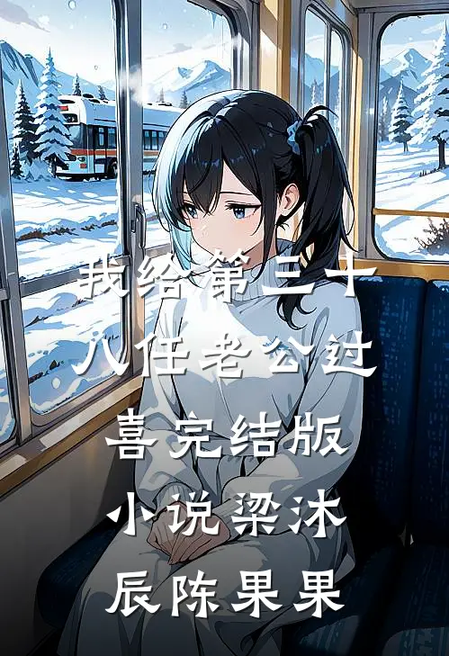 我给第三十八任老公过喜完结版小说梁沐辰陈果果