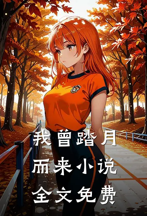 我曾踏月而来小说全文免费