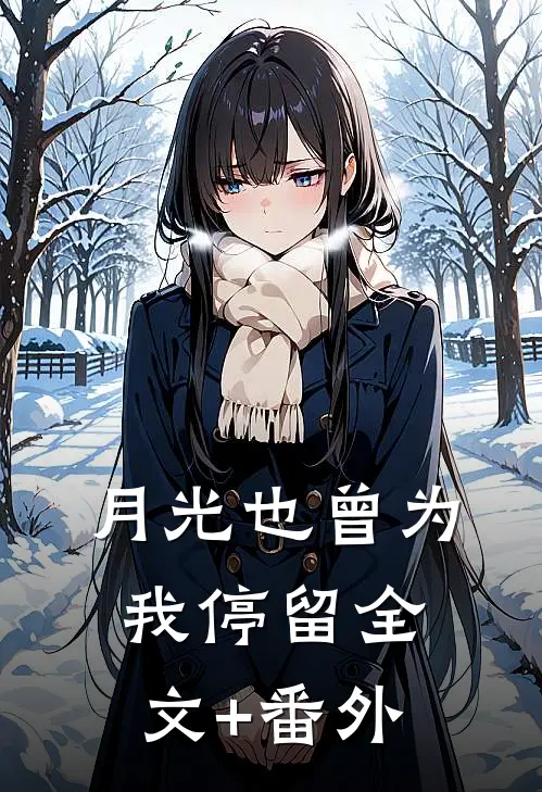 月光也曾为我停留全文+番外