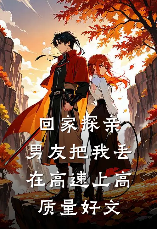 回家探亲，男友把我丢在高速上高质量好文