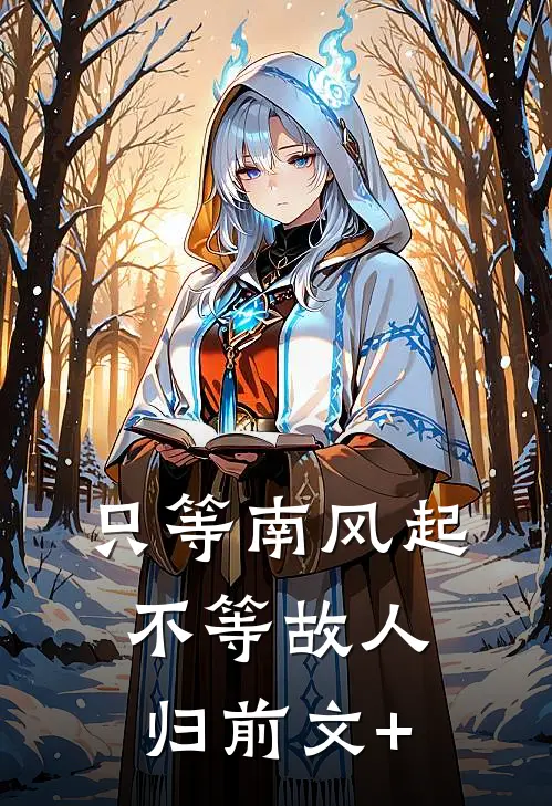 只等南风起，不等故人归前文+