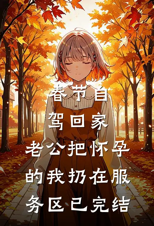 春节自驾回家，老公把怀孕的我扔在服务区已完结