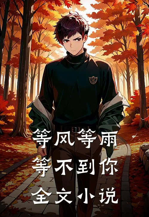 等风等雨等不到你全文小说