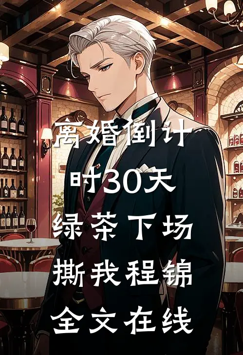 离婚倒计时30天，绿茶下场撕我程锦全文在线