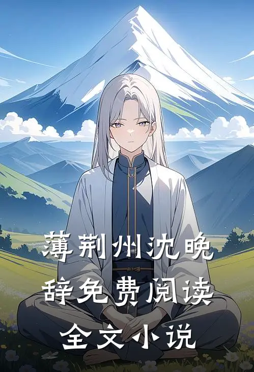 薄荆州沈晚辞免费阅读全文小说