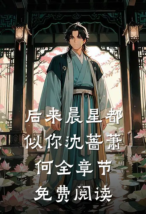 后来晨星都似你沈蔷萧何全章节免费阅读