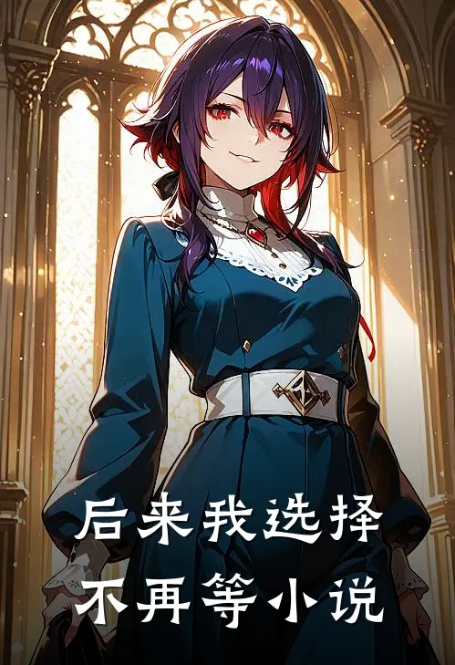 后来我选择不再等小说