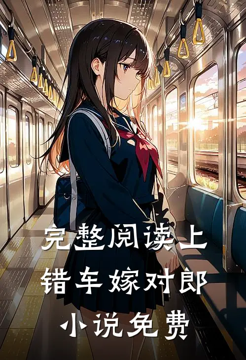 完整阅读上错车嫁对郎小说免费