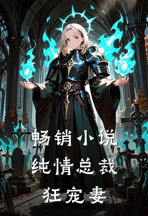 畅销小说纯情总裁狂宠妻
