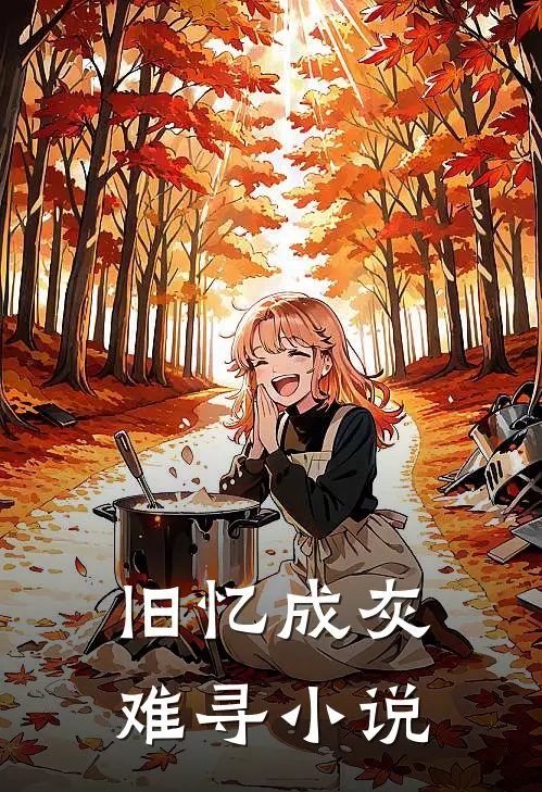 旧忆成灰难寻小说