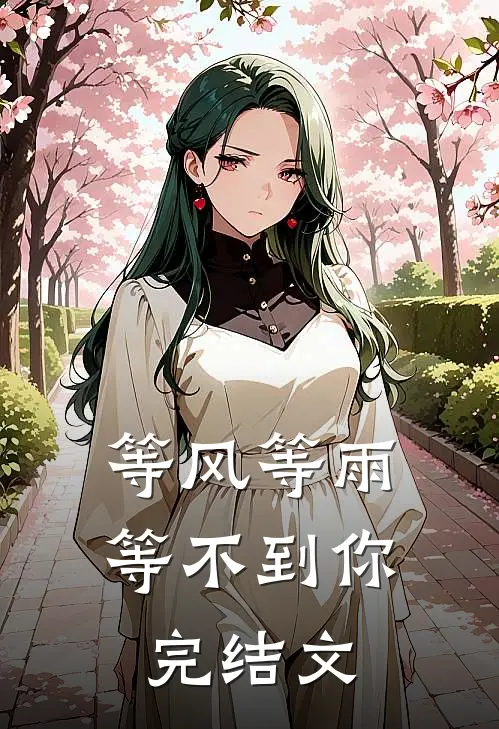 等风等雨等不到你完结文