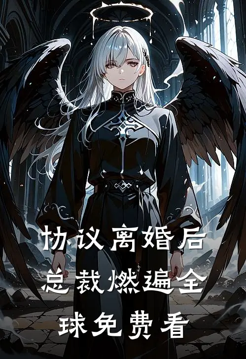 协议离婚后，总裁燃遍全球免费看