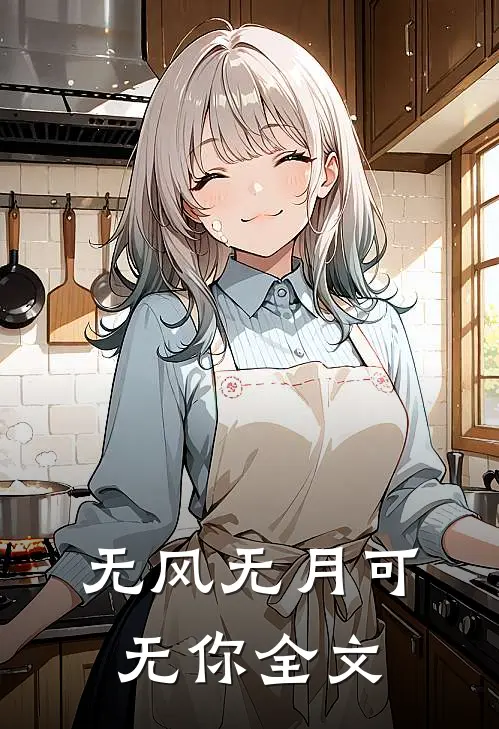 无风无月可无你全文