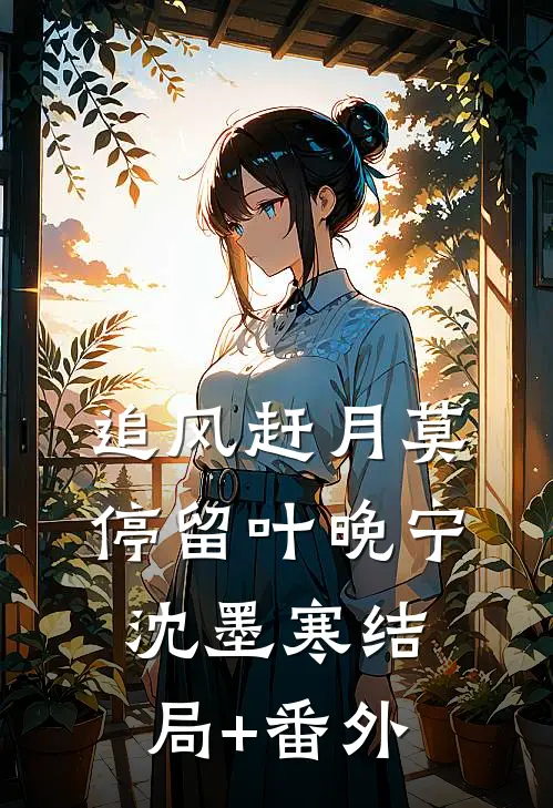 追风赶月莫停留叶晚宁沈墨寒结局+番外